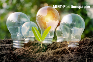 Positionspapier MINT-Bildung