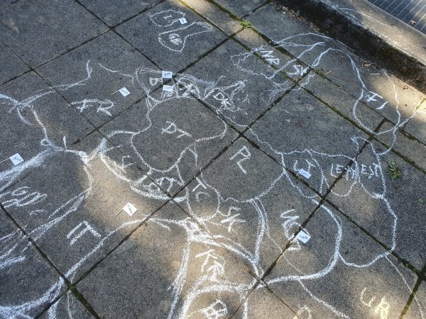 Neues Schuljahr - neues Freiwilligenjahr