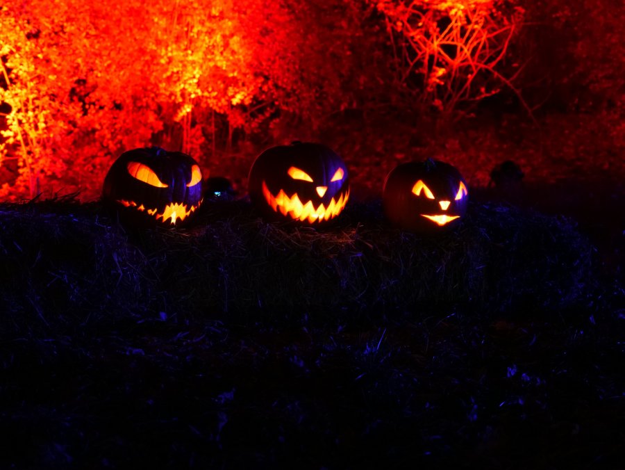 Halloween im Kinder- und Jugendhaus INSEL des LJBW